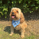 Mummy's Boy slip on dog bandana let's pawty